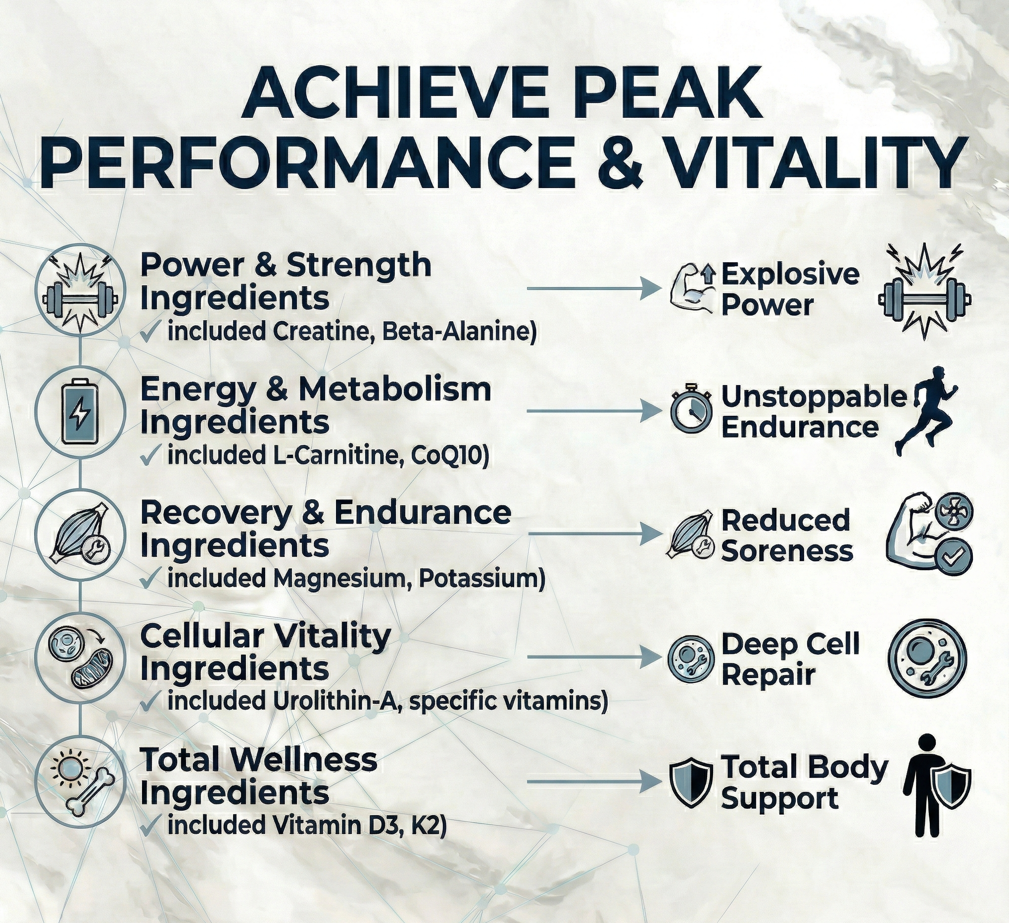 Myoboost™ Urolithin A + Creatine Gummies(5000mg) with L-Carnitine, Beta-Alanine & CoQ10